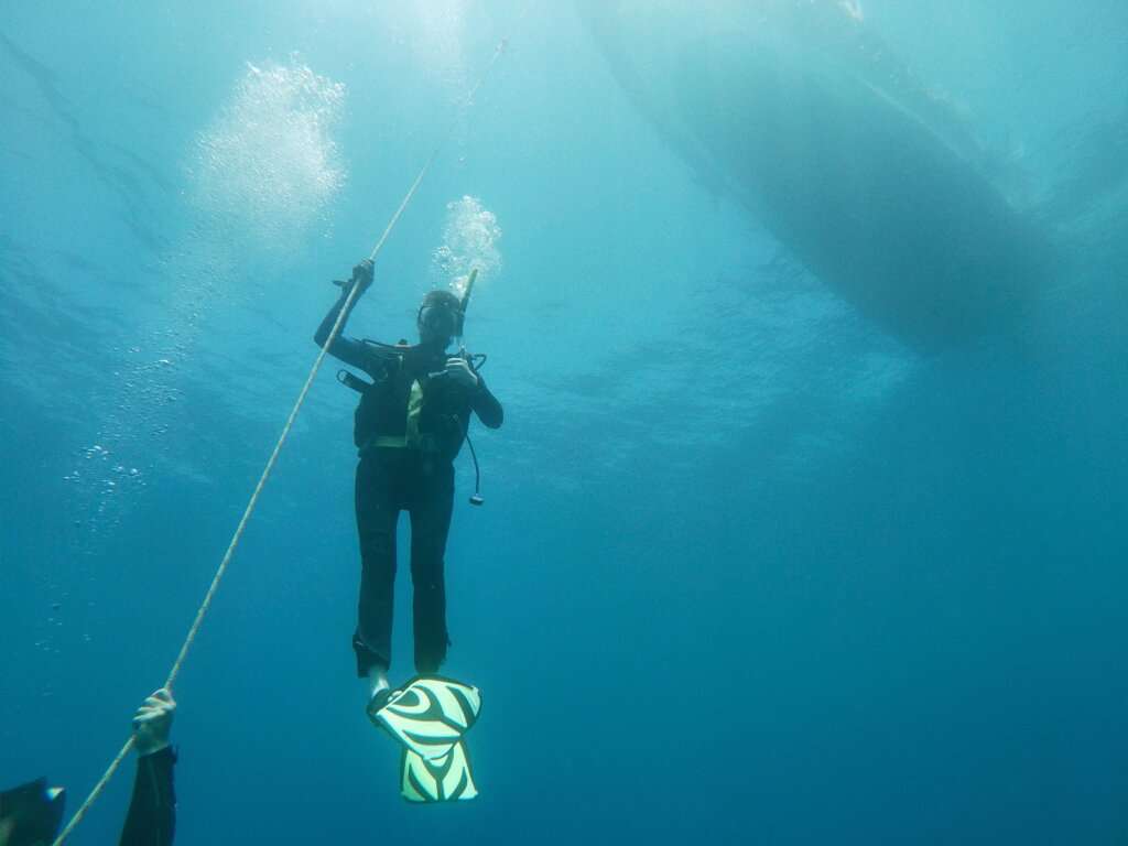 bus stop scuba diving