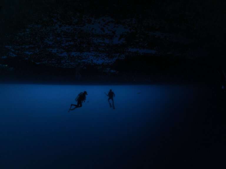 bus stop scuba diving