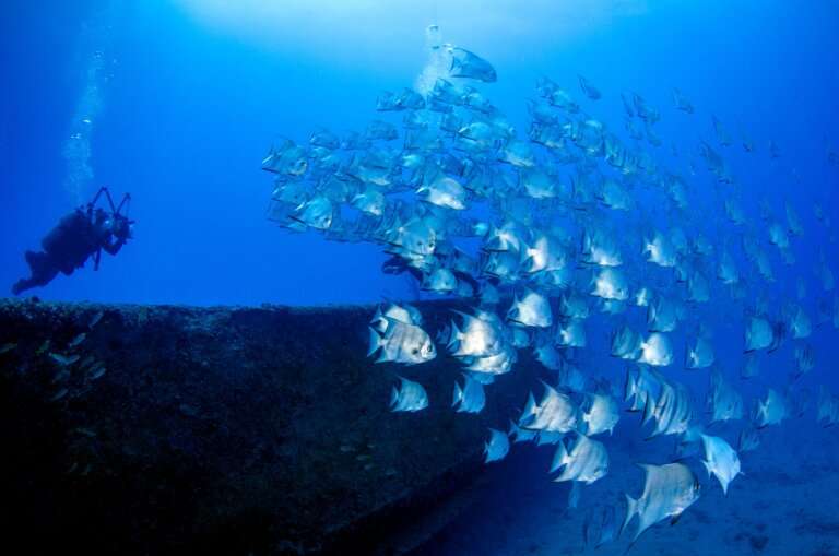 Junction scuba diving