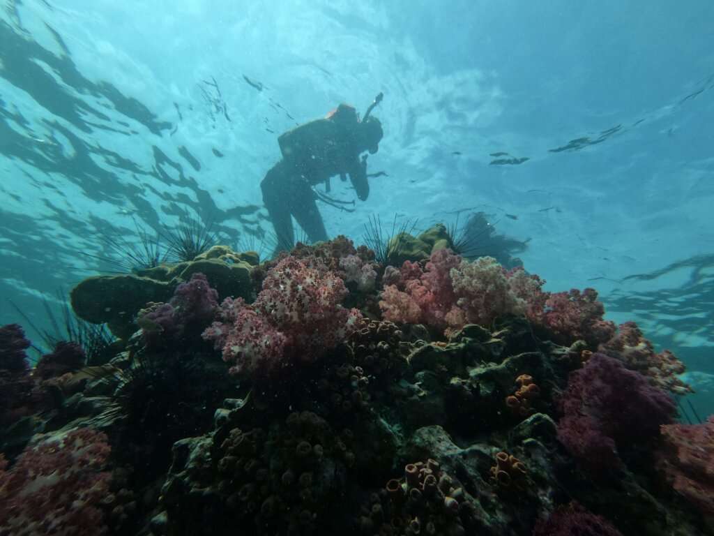 Junction scuba diving