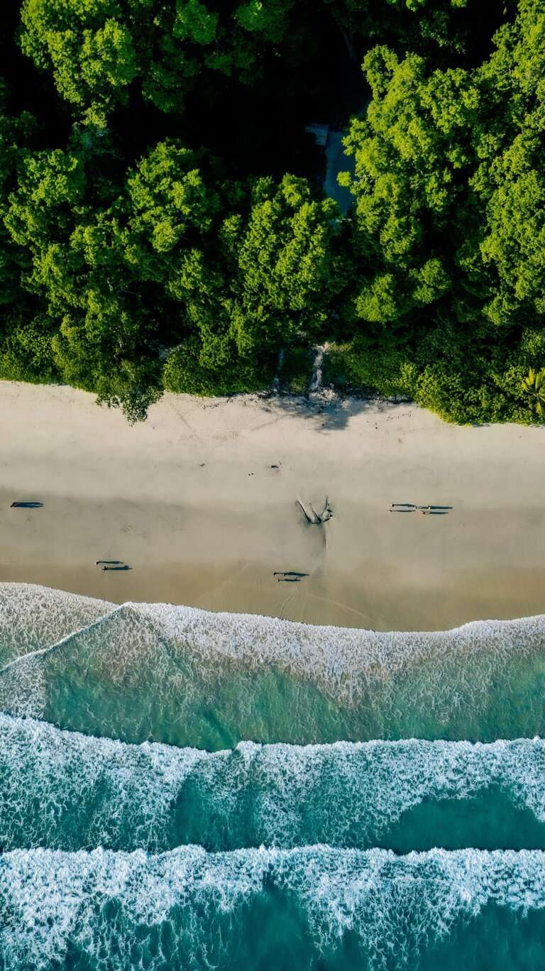 Radhanagar Beach, Havelock