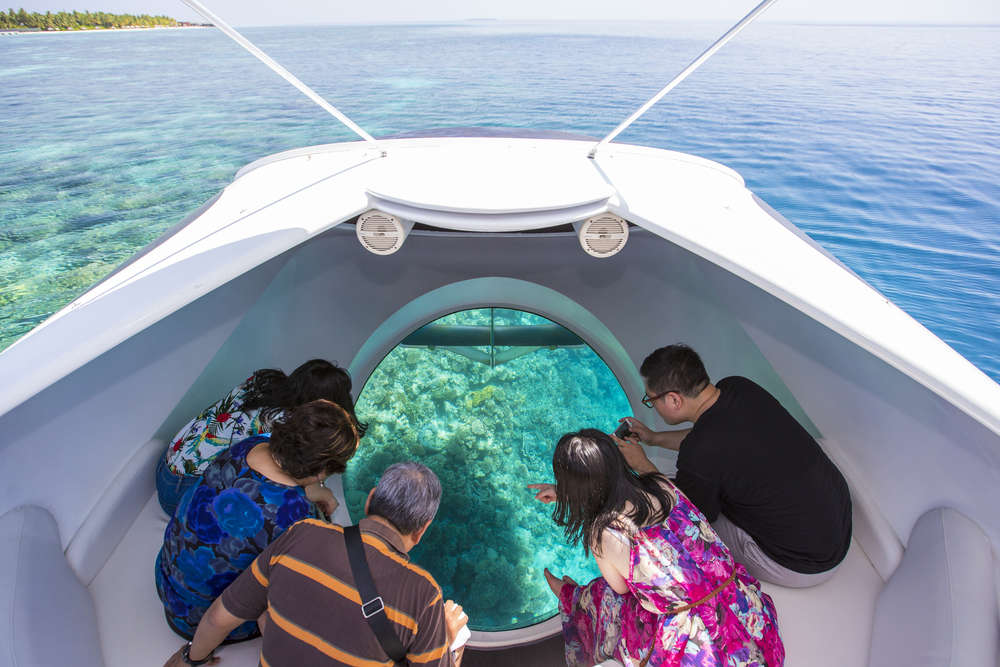 Glass-Bottom Boat Ride