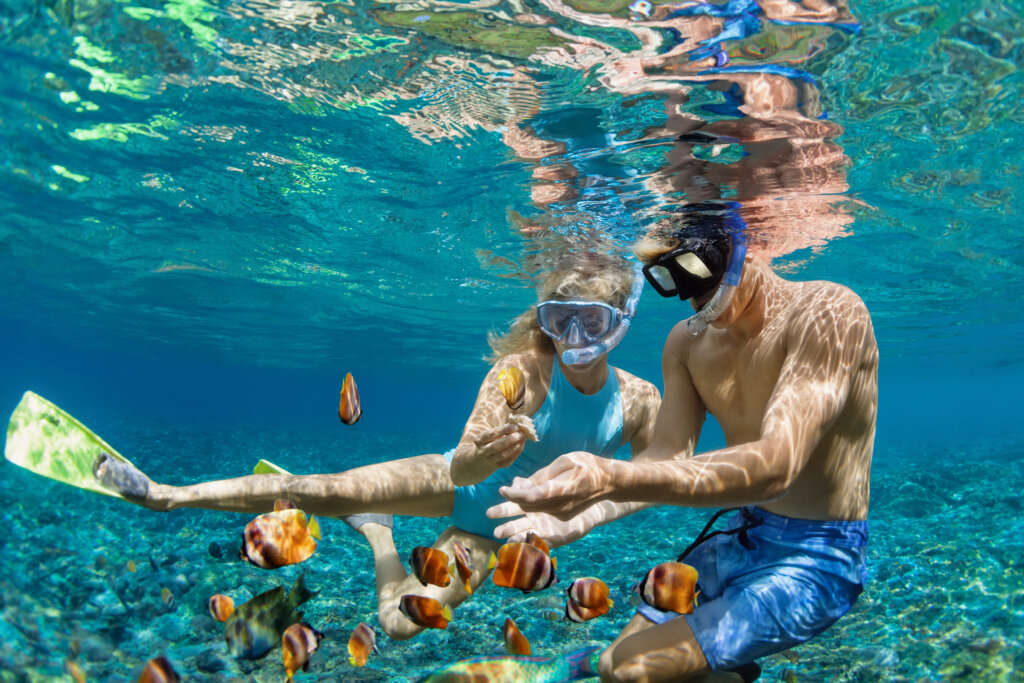 snorkelling in North island Bay