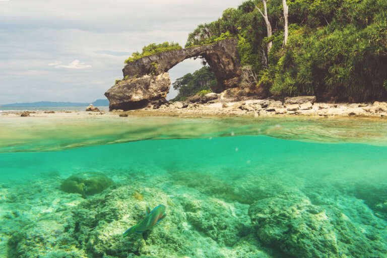 Natural,Bridge,At,Neil,Island,,Andaman,And,Nicobar.,Double,Photo