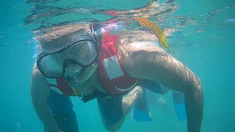 Elephant Beach, Havelock (Swaraj Dweep) — the easiest first snorkel