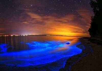 Bioluminescent night kayaking