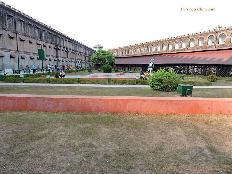 Cellular Jail light show
