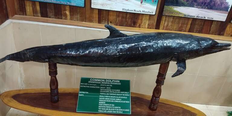 Fisheries Museum (Marine Museum & Aquarium), Delanipur