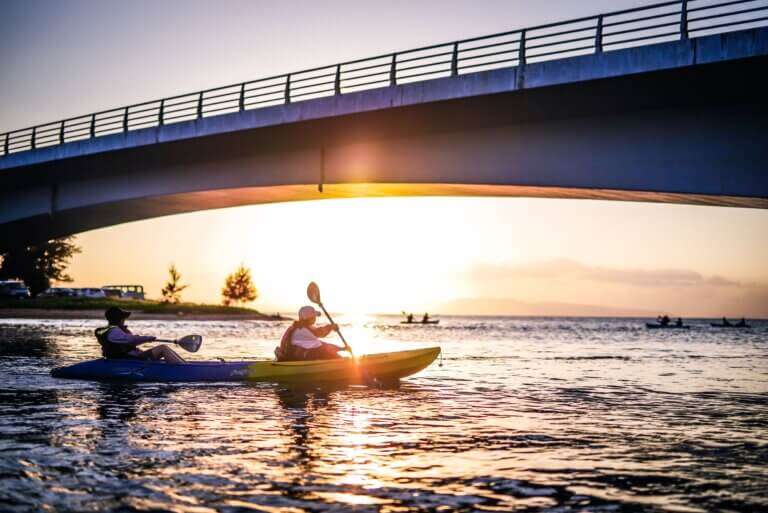 Mangrove day kayaking vs bioluminescent night kayaking which to pick