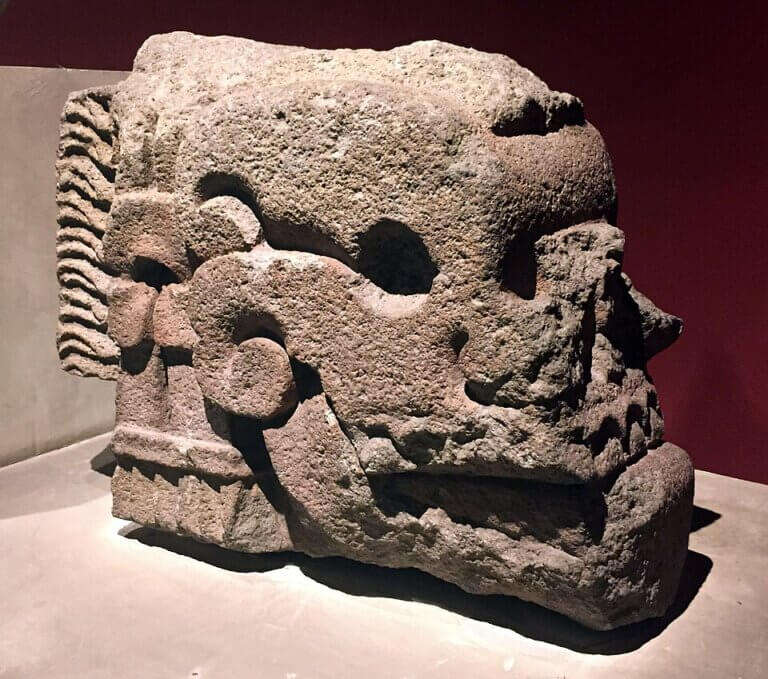 The Anthropological Museum