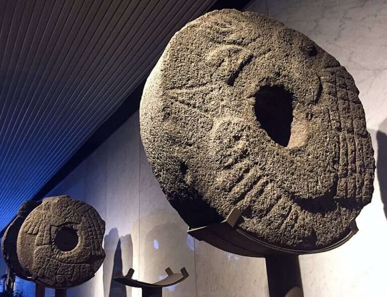 The Anthropological Museum