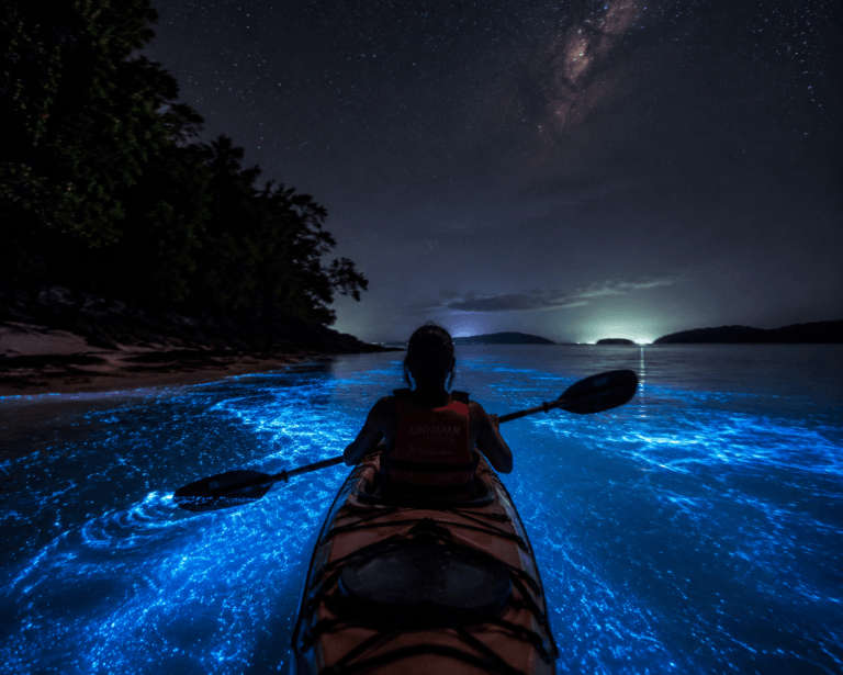 Paddling through glowing waters at night