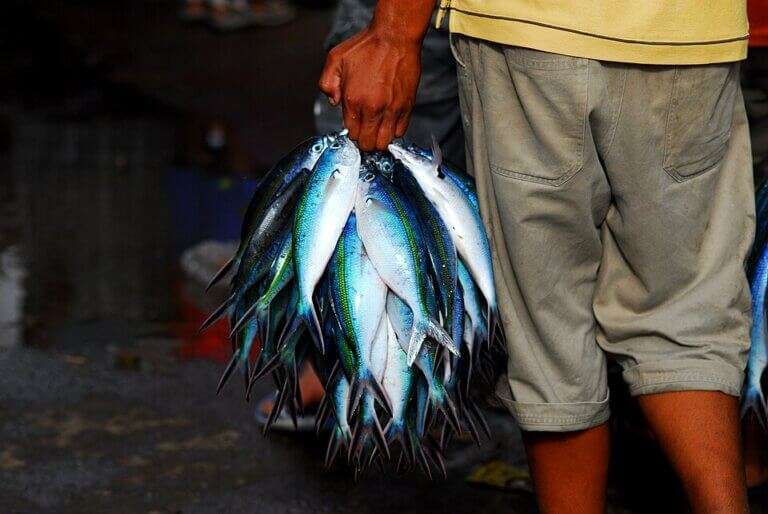 Vegetable, Fish & Local Food Markets, Port Blair