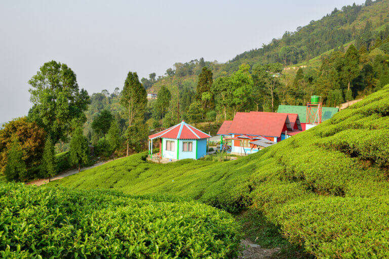 Sri Radha Nivas Homestay
