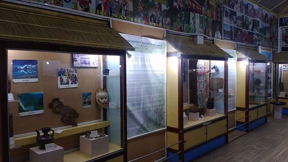 The Anthropological Museum