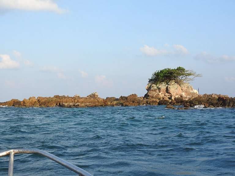 impure island in andaman