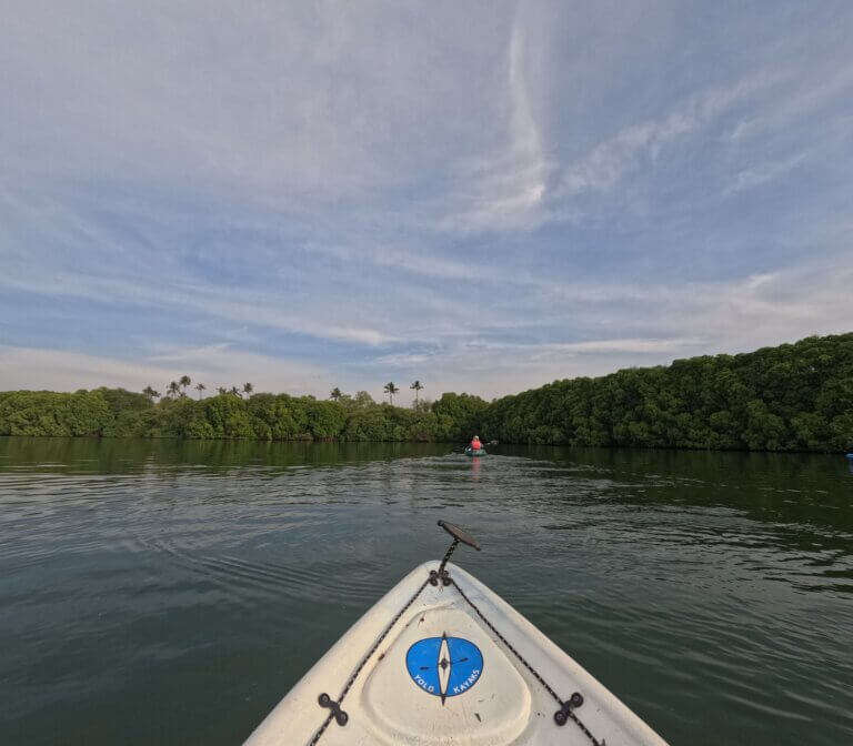 mangrove kayaking in andaman