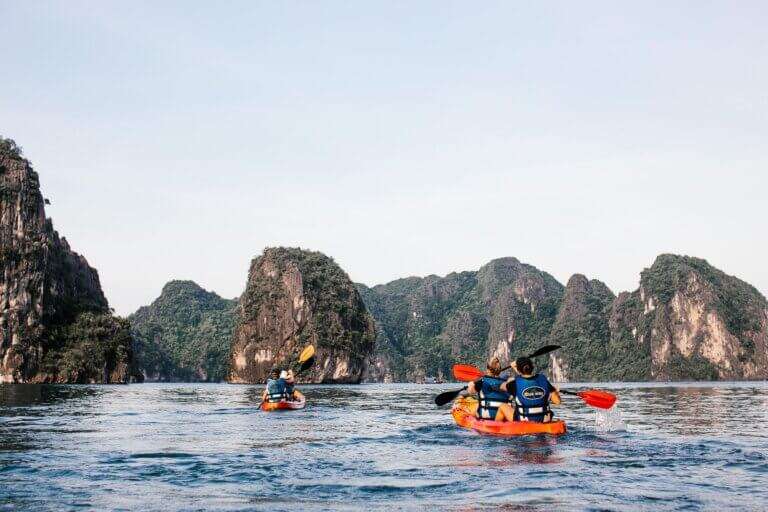 mangrove kayaking in andaman