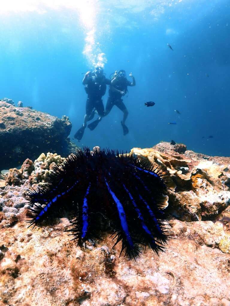 sea walking in andaman