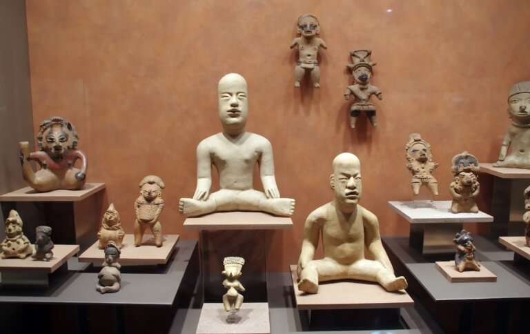 The Anthropological Museum
