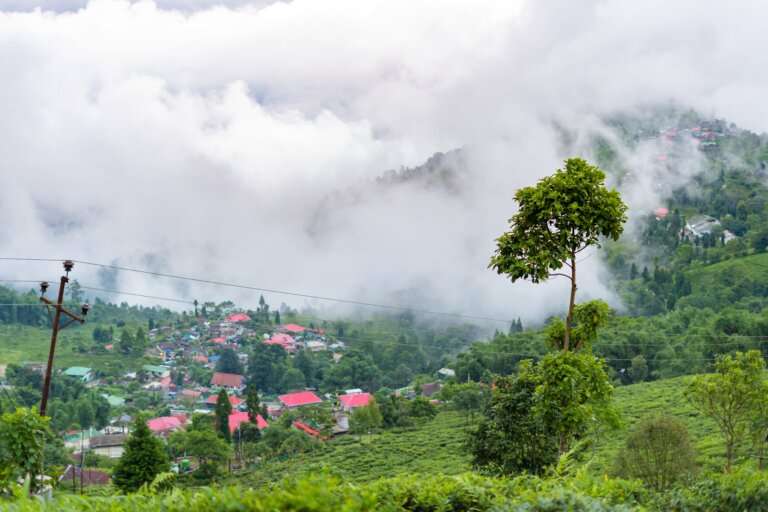Chail...