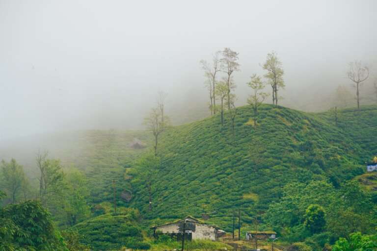 Chail..