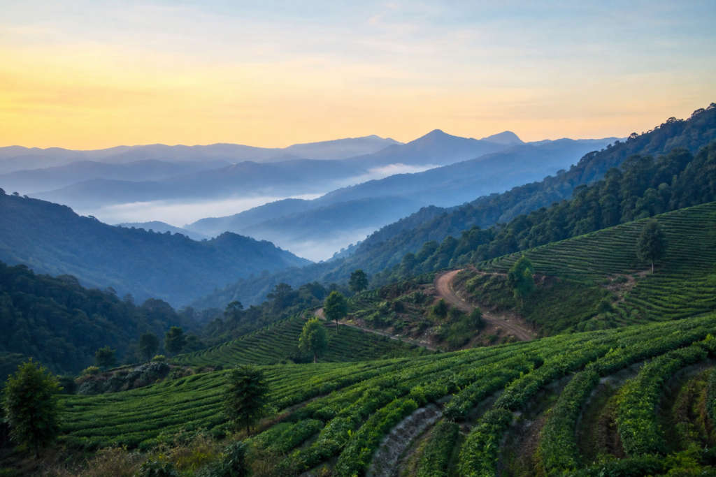 Doi Ang Khang, Thailand's Little Switzerland