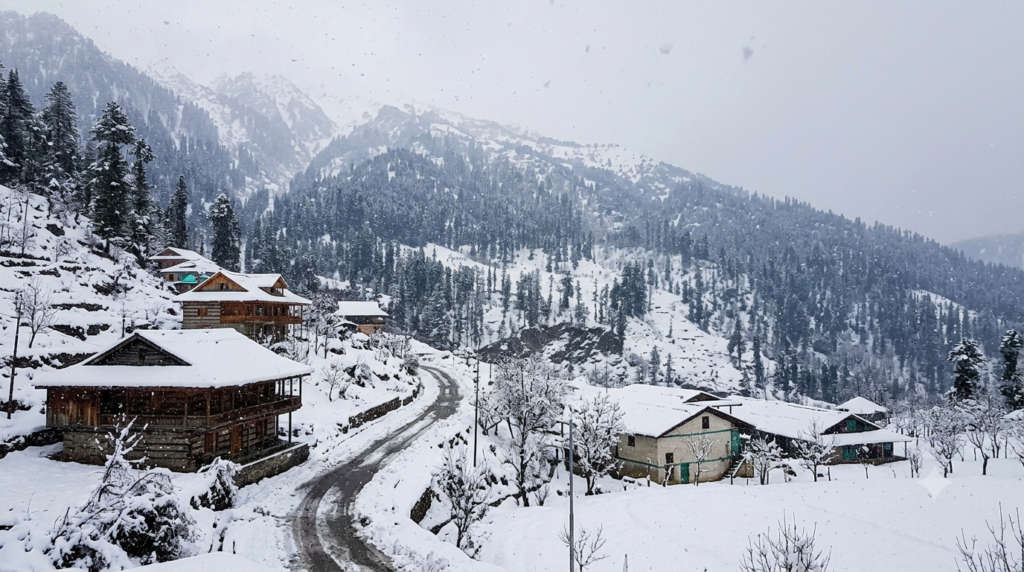 Gulaba in Manali