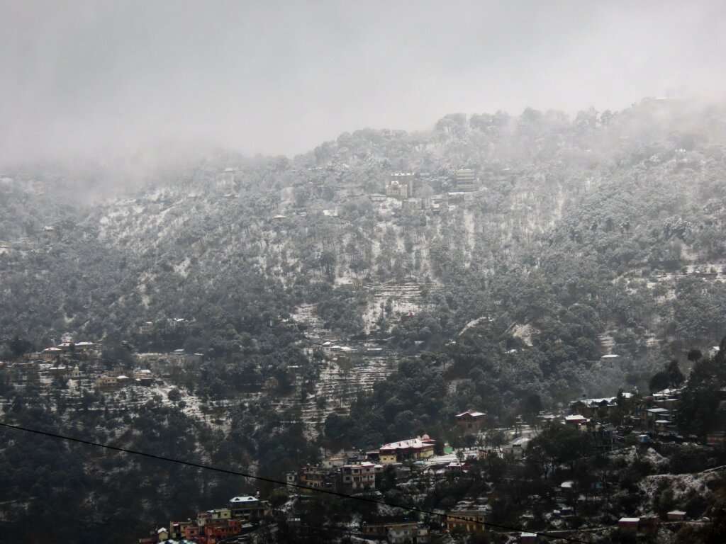 Kasauli