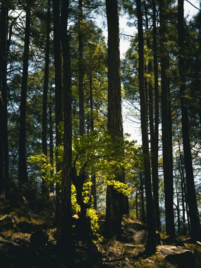Kasol and the Parvati Valley