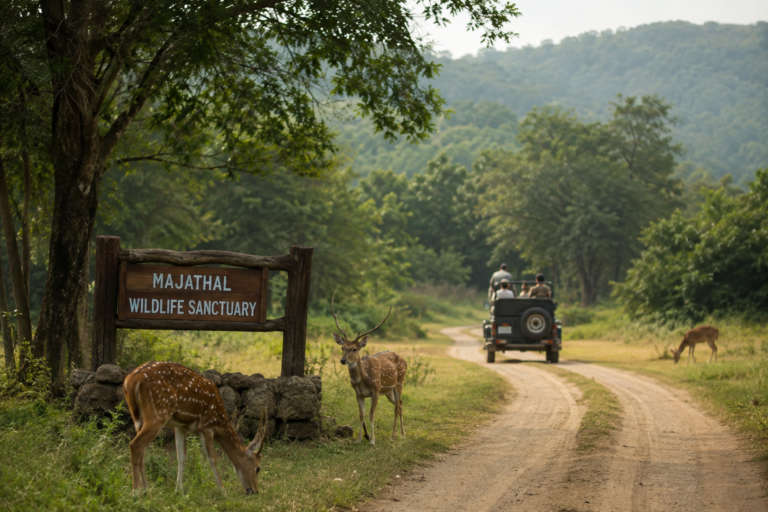 Majathal Wildlife Sanctuary