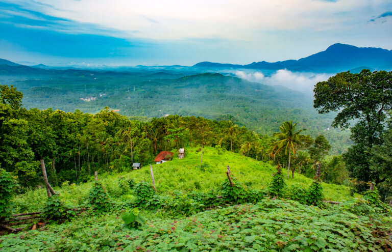 Shaily Peak