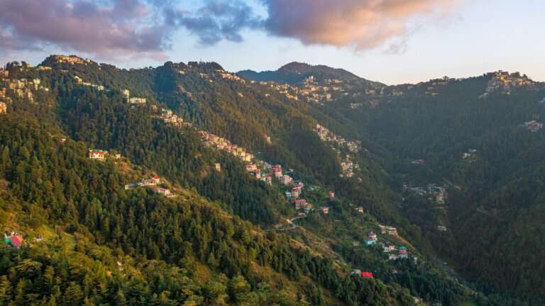 Shimla