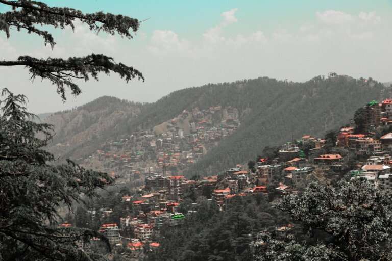 Shimla