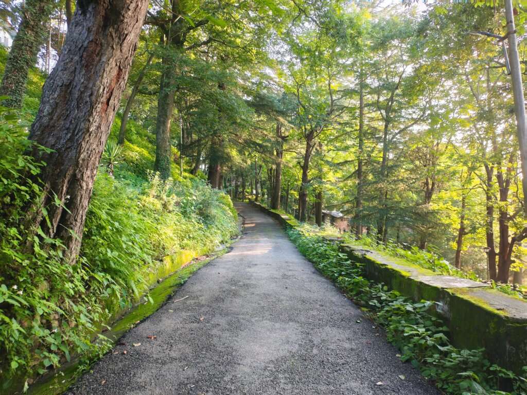 Shimla.....