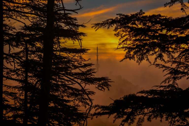Shimla