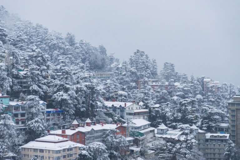 Shimla