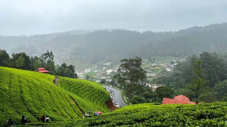 Summer Hill