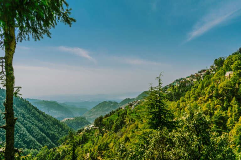 dalhousie