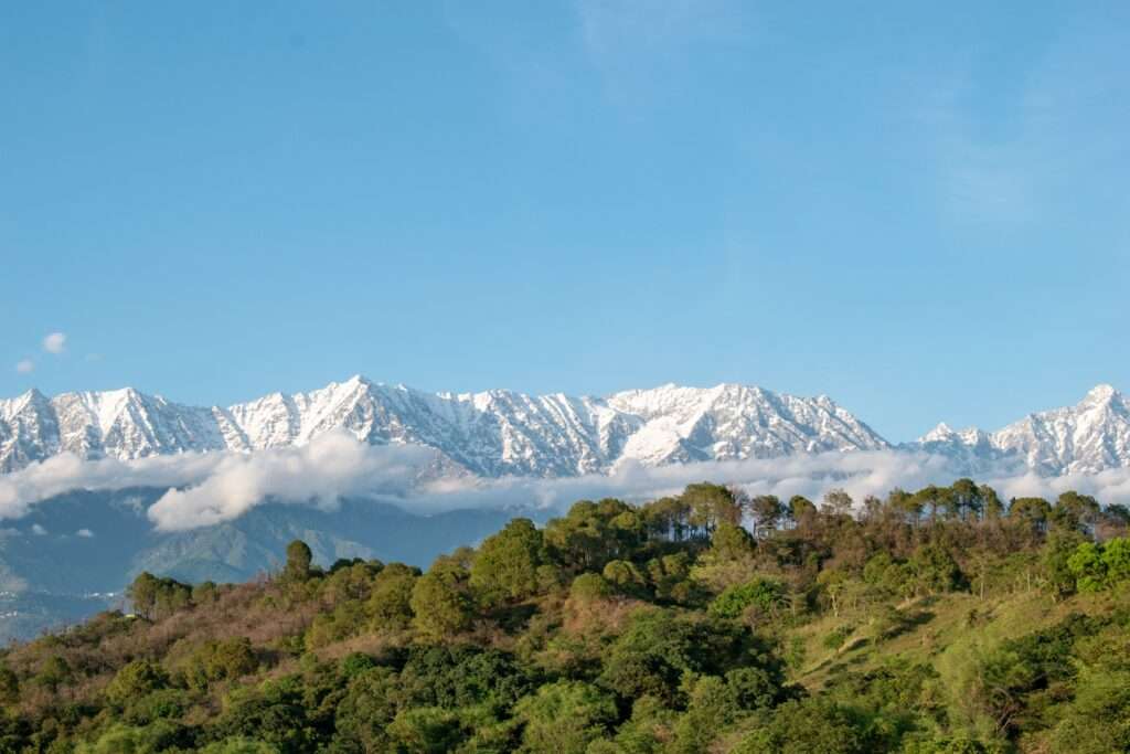 Dhauladhar Range viewpoint
