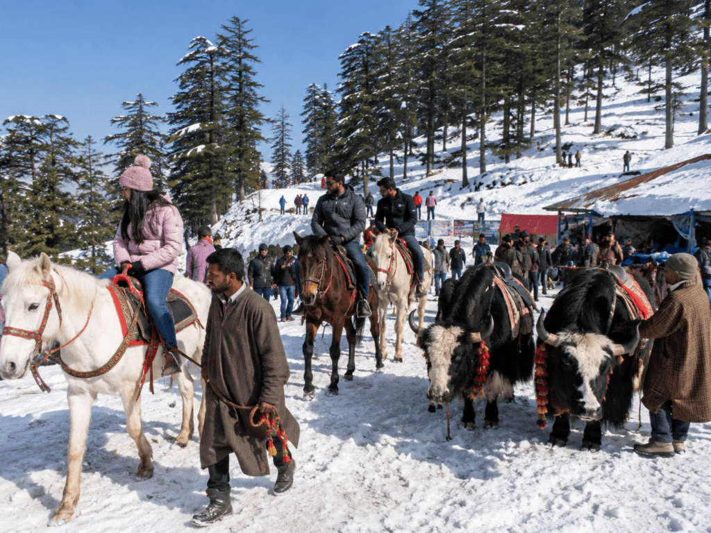 Ride horses and yaks at Kufri