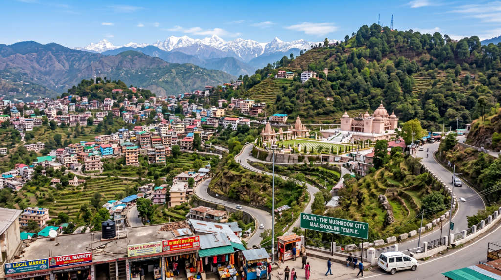 Solan