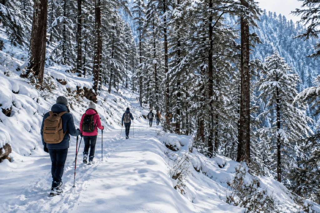 Take a short snow trek or forest walk