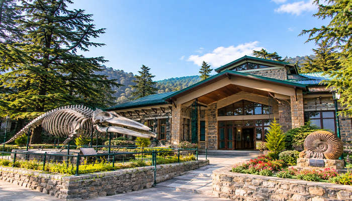 Tethys Fossil Museum