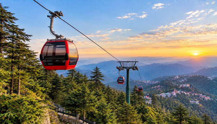 Timber Trail Cable Car