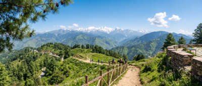 Kufri In Summer
