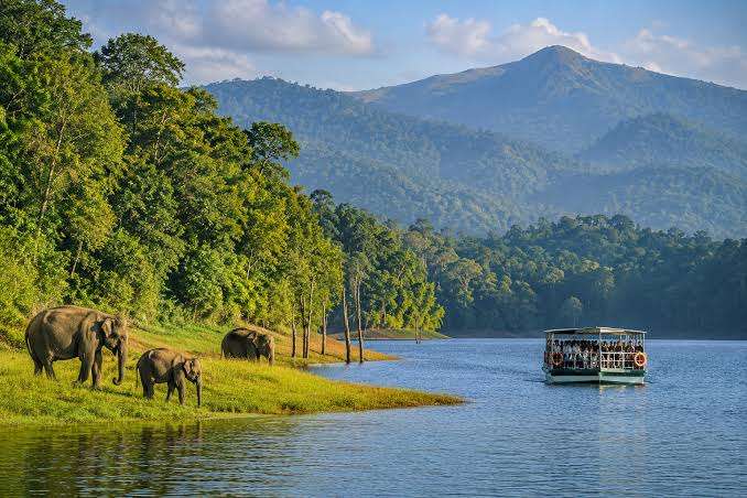 Thekkady and Periyar Tiger Reserve