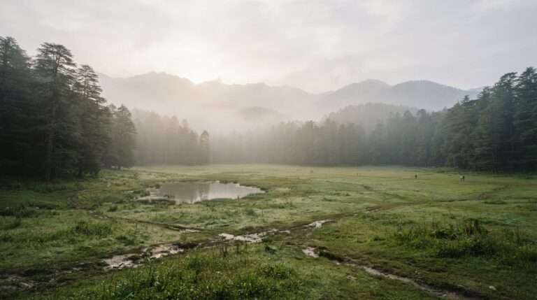 best-honeymoon-destinations-in-himachal-pradesh-06-khajjiar-atmosphere