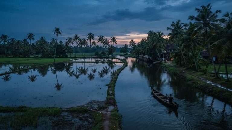 Flooded emerald paddy fields beside a backwater canal at blue hour after rain, Alappuzha (Alleppey), Kerala, India