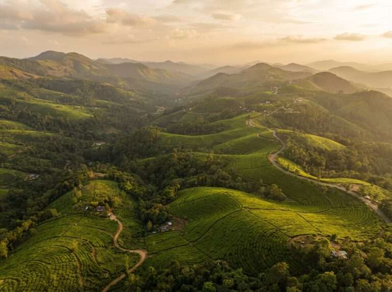Aerial view of Vagamon, Kerala, India, at golden hour
